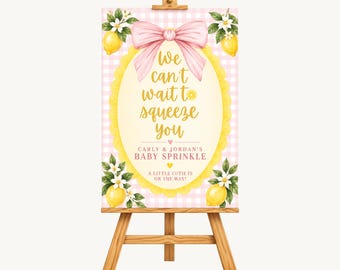 We Can’t Wait to Squeeze You Baby Sprinkle Welcome Sign – Pink