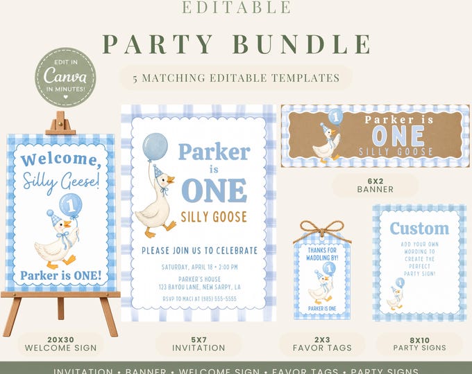 One Silly Goose First Birthday Party Bundle - Blue