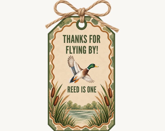 One Year Flew By Birthday Favor Tags