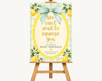 We Can’t Wait to Squeeze You Baby Sprinkle Welcome Sign – Green