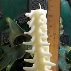 Free USA Shipping Medium Spine White Beeswax Candle