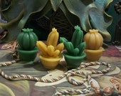 Cactus Beeswax Candles 1 set of 2 Candles Choice of Color Free USA Shipping