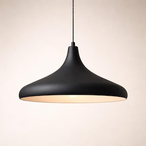 May include: A matte black pendant light fixture with a wide, flared shade. The interior of the shade is white, and a single light bulb is visible. The light hangs from a thin, dark cord.