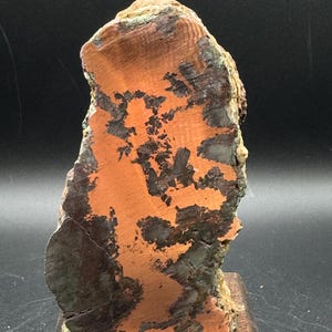 May include: A polished slab of copper ore featuring a vibrant, metallic orange center with intricate, dark, dendritic inclusions. The specimen is mounted upright on a square wooden base, displaying a natural, irregular, and textured outer edge.