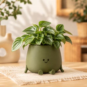 May include: A small, olive-green ceramic planter with a smiling face and small feet, holding a green plant with striped leaves. The planter sits on a beige woven mat on a wooden table. The plant is a Peperomia.