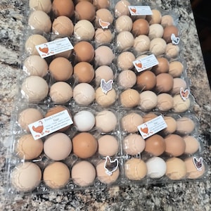 1 dozen Farm Fresh Chicken Eggs