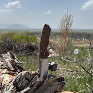 Peut inclure: Un couteau pliant à manche marron et lame argentée est enfoncé dans une bûche patinée. Le couteau est positionné verticalement, la lame vers le haut. L'arrière-plan présente un paysage avec une végétation verte et un ciel nuageux.