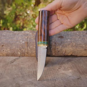 May include: A fixed-blade knife featuring a polished dark brown wood handle with a distinct grain pattern, a thin green and yellow accent ring near the bolster, and a silver-colored metal blade with a textured finish on the upper portion.