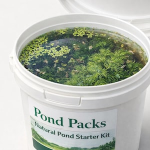 May include: A white bucket, labelled "Pond Packs Natural Pond Starter Kit", is partially open, showing a miniature aquatic ecosystem. The water contains green plants and small floating vegetation, creating a natural pond environment.