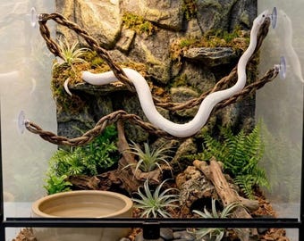 Cadre d'escalade Snake, Vigne de terrarium à ventouse en PVC