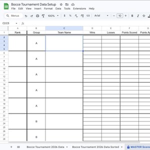 May include: Screenshot of a spreadsheet titled "Bocce Tournament Data Setup." The spreadsheet has columns for rank, group, team name, wins, losses, points scored, and other bocce tournament statistics. The spreadsheet is displayed on a computer screen.