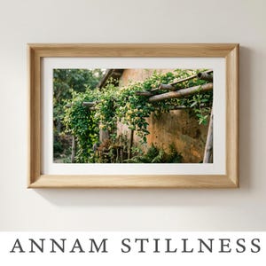 May include: A framed photograph featuring a rustic building with a wooden trellis covered in lush green foliage. The image has a warm, natural color palette, with the text "ANNAM STILLNESS" at the bottom.