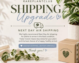 Shipping Upgrade - Next Day Air