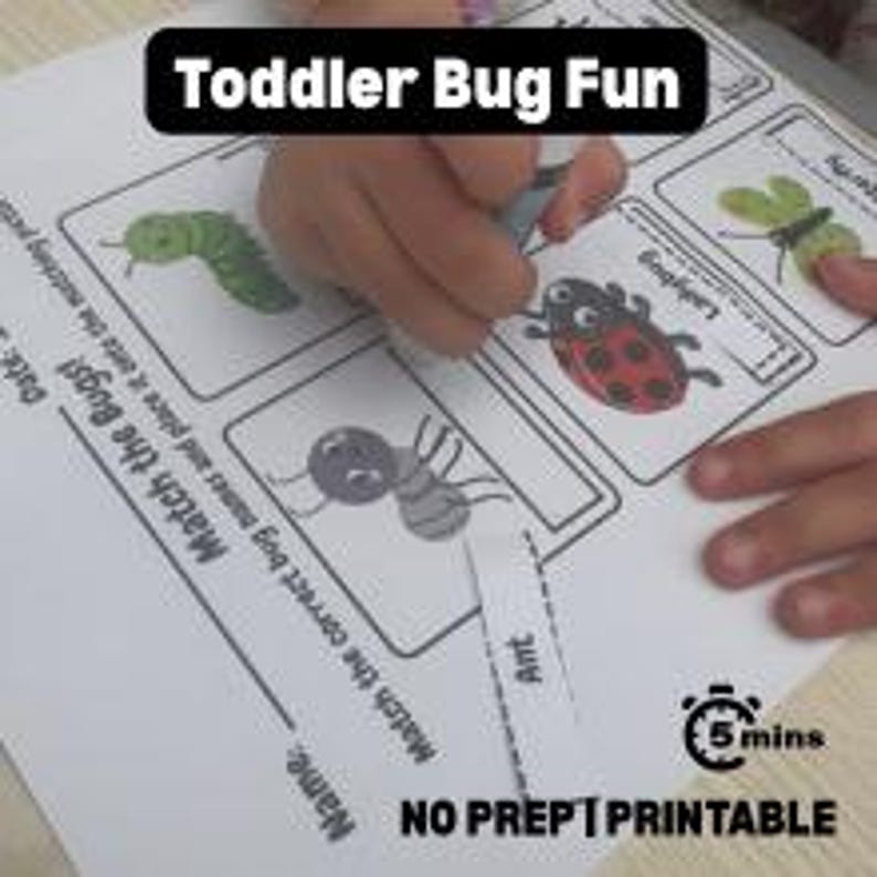 Bug Matching Activity Pack for Toddlers: EYFS Insect Learning ...