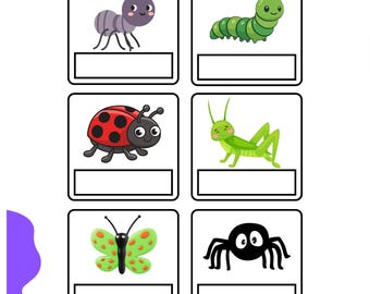 Bug Matching Activity Pack for Toddlers: EYFS Insect Learning Worksheets (Ages 2-4)
