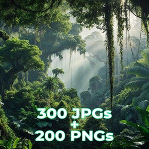 May include: A digital illustration of a tropical rainforest, with dense green foliage, tall trees, and hanging vines. The image includes the text "300 JPGs + 200 PNGs" at the bottom, suggesting digital assets.
