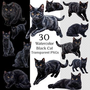 Puede incluir: Una colección de 30 ilustraciones de gatos negros en acuarela que muestran varias posturas, incluyendo sentado, saltando y acostado. El texto 30 Watercolor Black Cat Transparent PNGs está centrado en medio de la imagen sobre un fondo blanco.