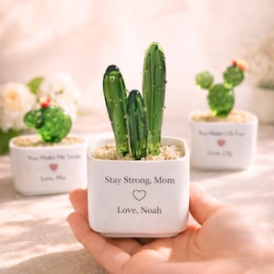 以下が含まれることがあります： 白い正方形の鉢に入ったガラス製のサボテンの彫刻。テキストは「Stay Strong, Mom」と「Love, Noah」です。サボテンは緑色で、3つの茎があります。背景には、他の2つのガラス製のサボテンの彫刻があります。