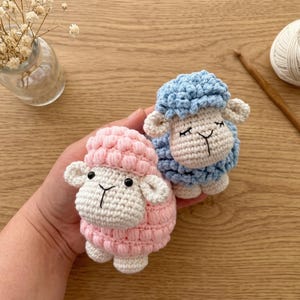 Può includere: Due pecorelle all'uncinetto fatte a mano, una rosa e una blu, sono tenute in mano. Le pecore hanno facce e corpi bianchi, con occhi neri e bocca cucita. Sono visibili anche un gomitolo di lana, un uncinetto e un piccolo vaso con fiori secchi.