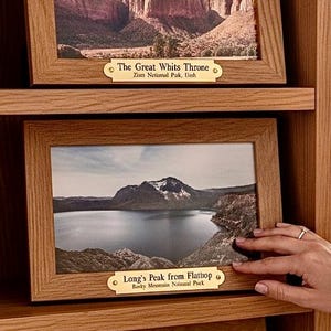 Wood Shelf Label, Solid Brass Library Plaque, Engraved Bookshelf Sign, Reader Gift Plaque to Screw Into Wood Shelf Gold Label for Wood Frame