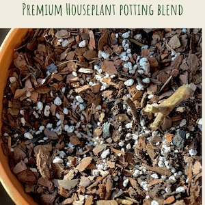 Può includere: Primo piano di un vaso di terracotta riempito con una miscela di terriccio di alta qualità per piante da appartamento. La miscela comprende pezzi di corteccia marrone, perlite bianca e piccoli pezzi di legno. Il testo "Green Threshold Premium Houseplant Potting Blend" è visibile.