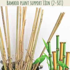 May include: A set of bamboo plant supports, each 45.7 cm long, tied together with twine, are shown in a metal bucket. The image includes the text "Green Threshold" and "Bamboo Plant Support 18in (2-Set)".