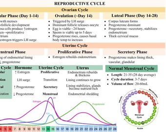 EOR de salud de la mujer