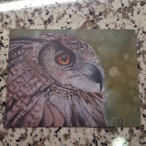 Post card print of owl pastel painting