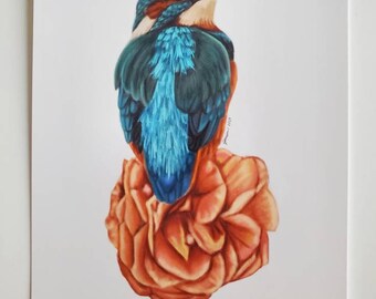 Kingfisher Postcard Art Print