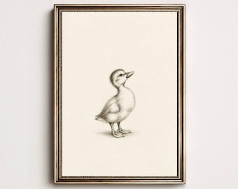 May include: A framed wall art print featuring a charcoal pencil sketch of a small duckling standing on a cream-colored background. The frame is metallic gold with a thin beaded inner border. The text STILL PRAIRIE CO. is printed below the frame.