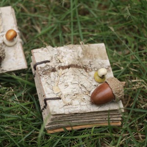 May include: A small square notebook with a cover made of textured white and tan birch bark. The binding consists of dark brown cord, and the front cover is decorated with a single brown acorn with a textured cap and a small cream-colored bead.