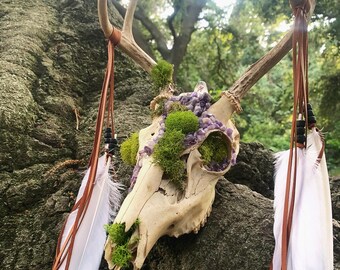 Amethyst & Quartz Deer Skull