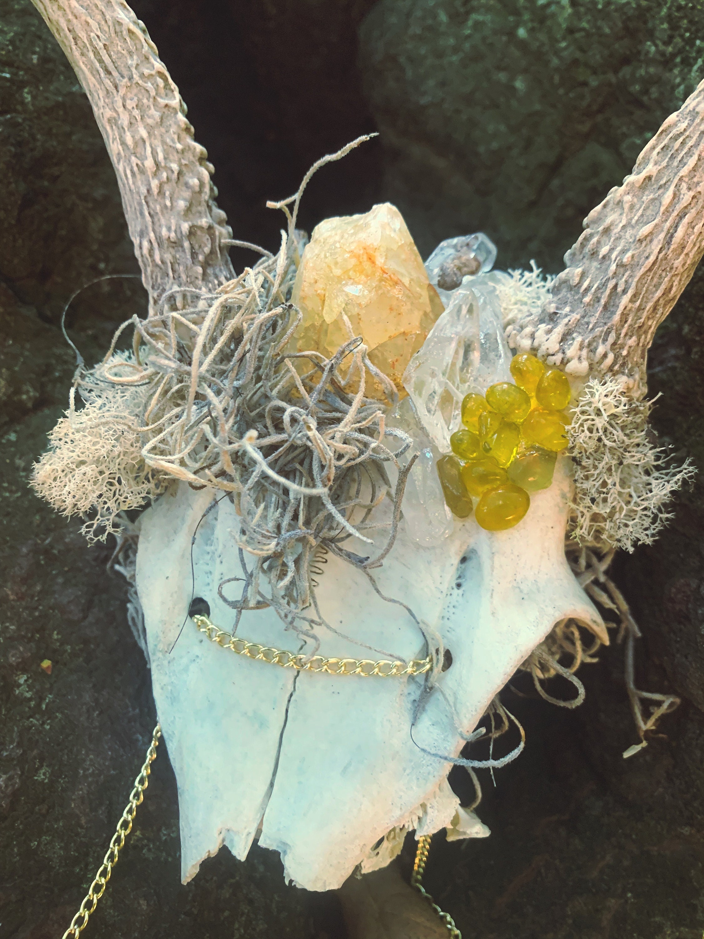 WildHeathen - Etsy