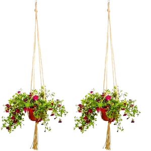 May include: Two hanging planters with vibrant green foliage and bright red flowers. The terracotta-colored pots are suspended by natural jute rope, creating a rustic and charming aesthetic. The planters are ideal for adding a touch of nature to any space.