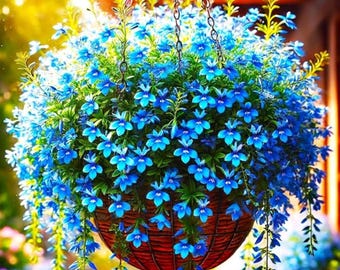Semillas de Lobelia Blue Cascade – Flor rastrera tapizante