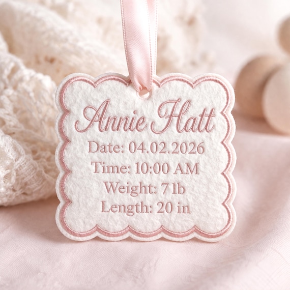 Personalized Embroidered Baby Birth Announcement Keepsake Tag, Custom Newborn Stats Ornament