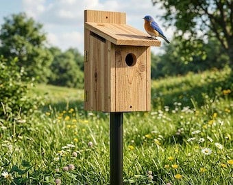 Eastern Bluebird Nesting Box Plans | DIY Woodworking Blueprint PDF | Birdhouse Build Plans | Digital Download