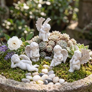 Peut inclure: Un pot en pierre rempli de succulentes, de mousse et de petits galets blancs. Cinq figurines de chérubins blancs avec des ailes sont disposées dans le pot. Une rose blanche et des brins de lavande ajoutent de la couleur.