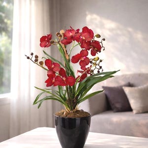 May include: A potted artificial orchid with striking red flowers and green foliage. The plant is in a glossy black pot, placed on a white surface. The background includes a window and a sofa, creating a home decor setting.