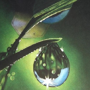May include: Close-up of a vibrant green blade of grass with a large, glistening water droplet. The droplet reflects the surrounding environment, creating a captivating visual effect. Small droplets of water are also visible.