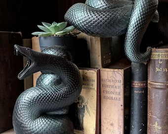 Schlange Buch Nook Kopf und Schwanz Bücherregal Einsatz Gothic Fantasy Buch Dekor für Regale