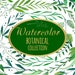 Botanical Watercolor Botanical Clipart, Herbal Greenery Garden Wedding, Watercolor Clipart, Botanical Wedding Wreath, Green Wedding Clip Art