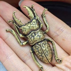 May include: A brass-colored metal figurine of a stag beetle with a textured, pitted surface. The insect features large, prominent mandibles, six articulated legs, and a segmented body with a detailed, rugged finish across the head and wings.
