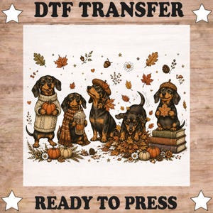 May include: A DTF TRANSFER READY TO PRESS graphic featuring five dachshunds in an autumn setting. The dogs are surrounded by fall leaves, pumpkins, acorns, and books. One dog wears a sweater, another a beret, and one holds a coffee cup.