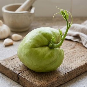 Chayote Plant - Etsy