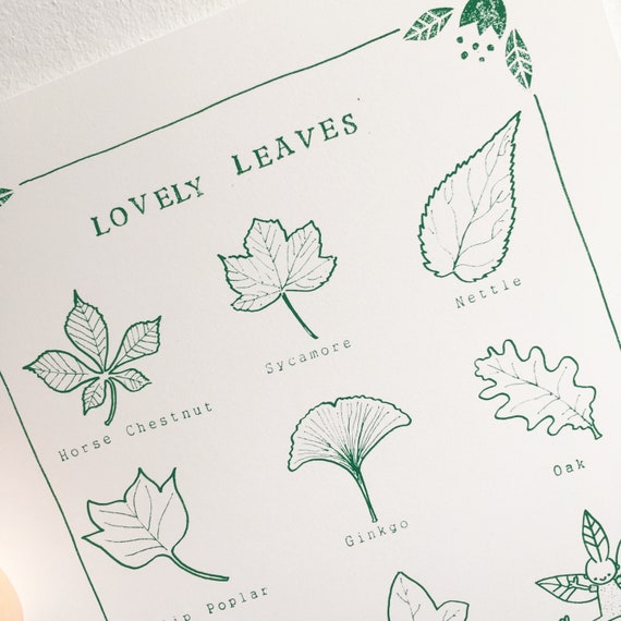 Tree Leaves Chart