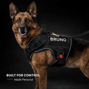 Spersonalizowany zestaw taktycznych szelek dla psa | Kamizelka bez smyczy, z personalizowanymi naszywkami