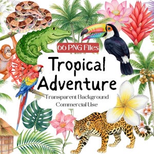 Puede incluir: Una vibrante ilustración digital titulada "Tropical Adventure" con una variedad de animales y plantas tropicales. Incluye un tucán, un loro, un jaguar y una rana. La imagen también incluye el texto "66 PNG Files".