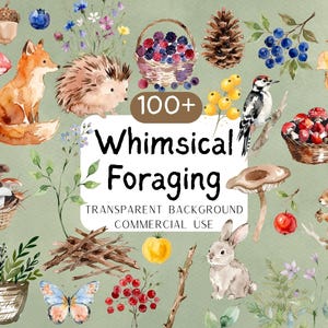 May include: A collection of watercolour illustrations featuring forest animals like a fox, hedgehog, owl, rabbit, and squirrel, alongside mushrooms, berries, pinecones, leaves, and a birdhouse. The central text reads 100+ Whimsical Foraging.
