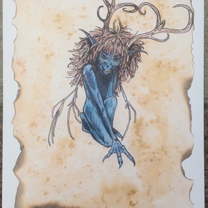 Night faerie